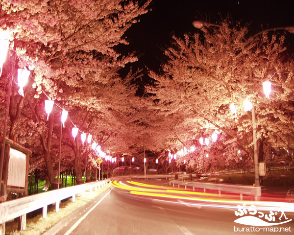 スポット情報：与田切公園キャンプ場 長野県｜南信州｜田舎自然ポータルサイト「ぶらっぷ」